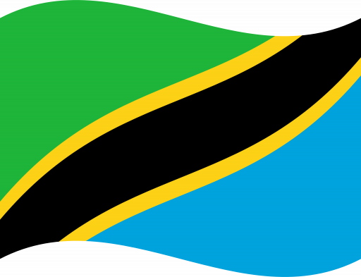 Tanzania Flag