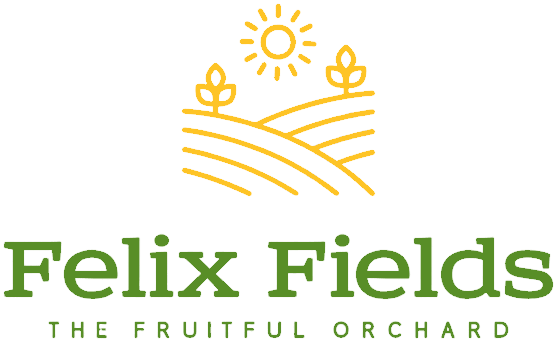 Logo (Designed by Yombi Journeys)