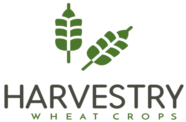 Logo (Designed by Yombi Journeys)