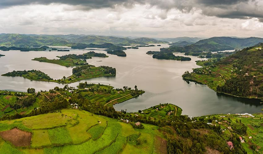 Gorilla Trekking Adventure - Yombi Journeys